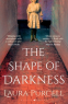 Cover Image: The Shape of Darkness