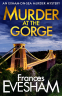Cover Image: Murder at the Gorge