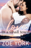 Cover Image: Love in a Small Town