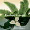 Cover Image: Coconut Dreams