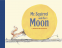 Cover Image: Mr Squirrel and the Moon