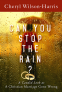 Cover Image: Can You Stop The Rain? 