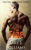 Cover Image: After The Fire