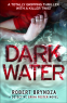 Cover Image: Dark Water (Detective Erika Foster Book 3) 