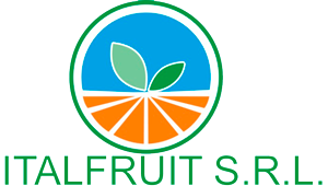 Italfruit srl