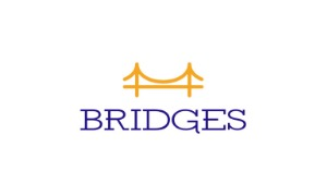 BRIDGES BUSINESS BUILDER LLC