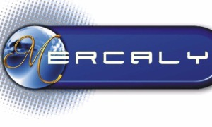 Mercaly inc.