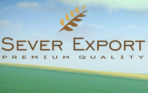 Sever Export LLC