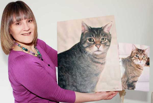 cat portraits on canvas