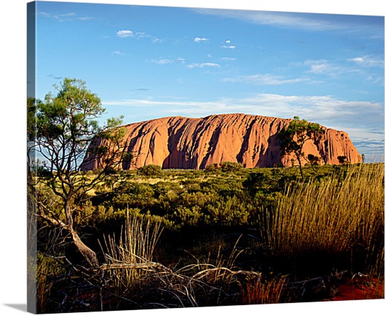 Canvas from Photo of Desert