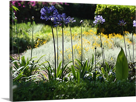Photo of Wildflowers on Pop Art