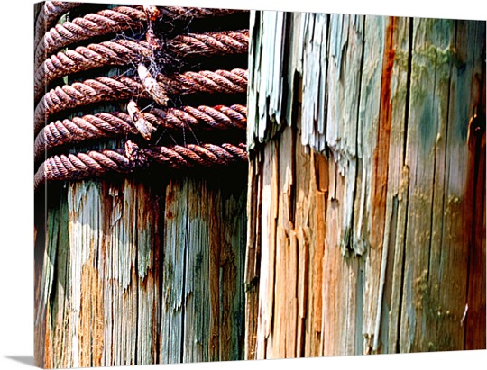Print of Dock Posts on Canvas