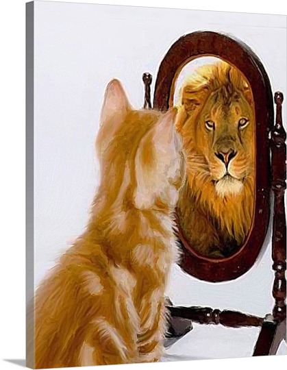 Brave Cat Photo on Pop Art