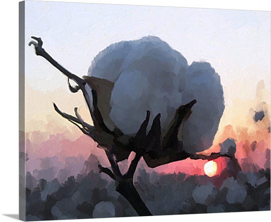 Cotton Bloom on Pop Art Canvas