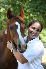 convert photo of a horse to painting
