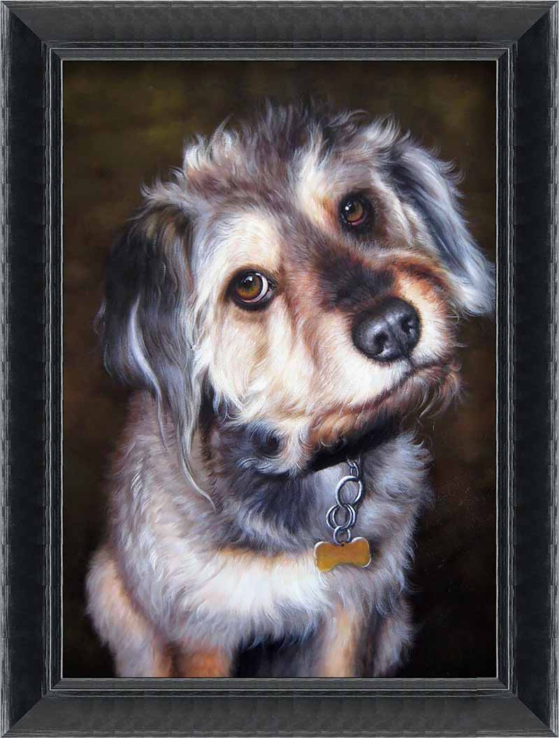 Pet Portraits Gallery