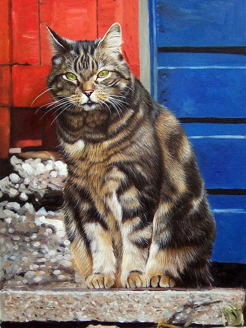 Pet Portraits Gallery