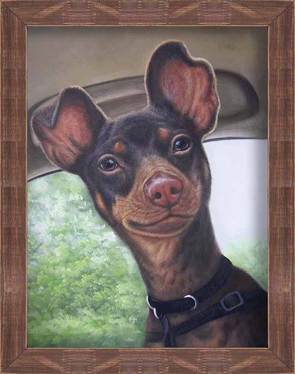 Pet Portraits Gallery