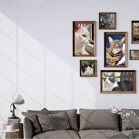 Browse our pet gallery