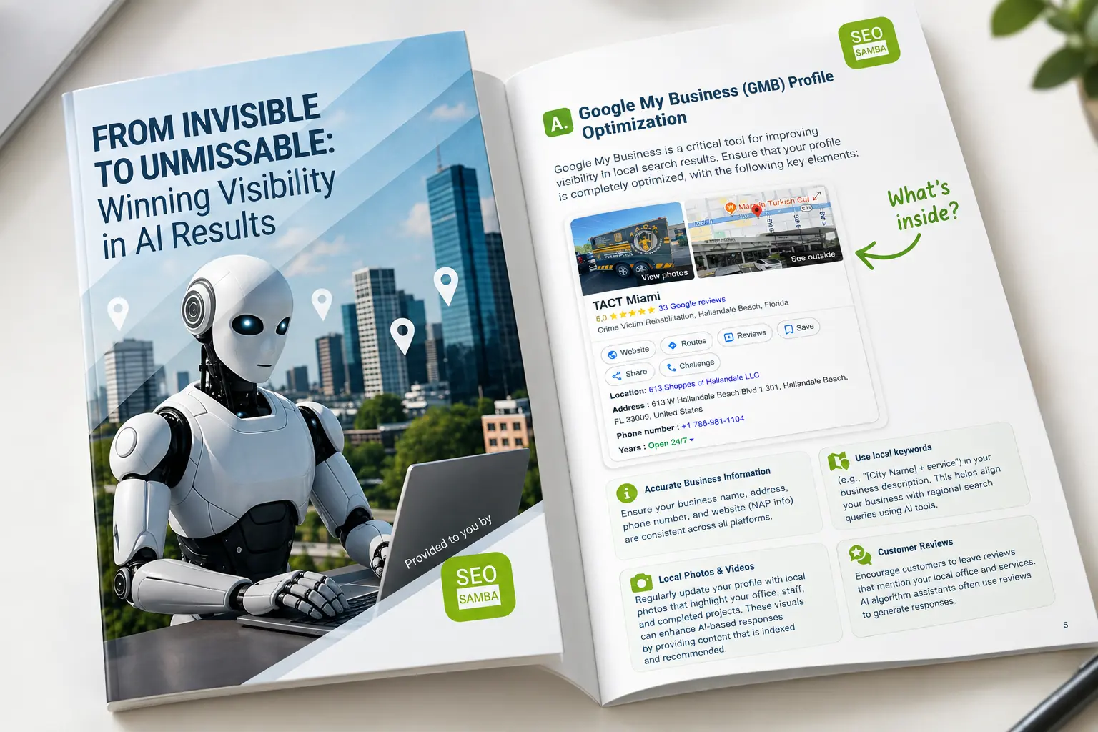 Image SeoSamba Guide on how to get your business into AI results