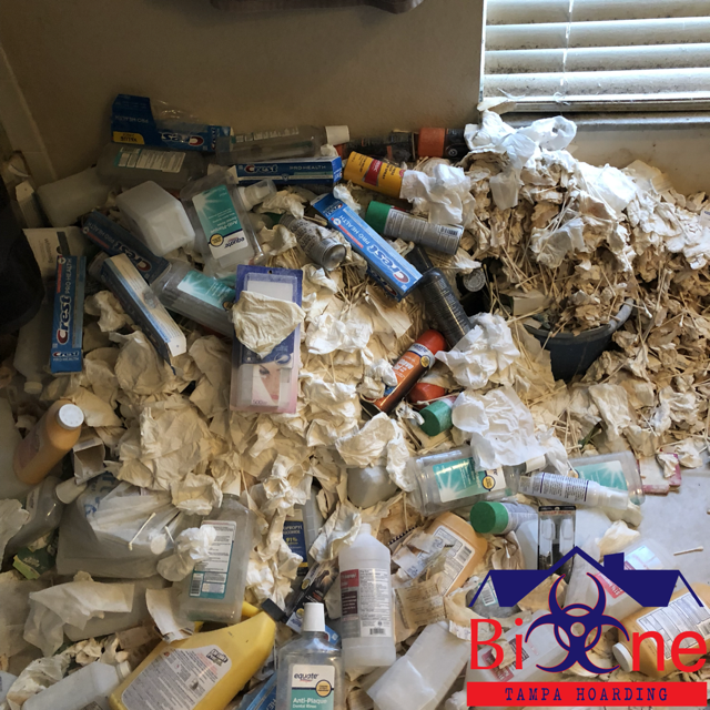 Book Review The Hoarder In You