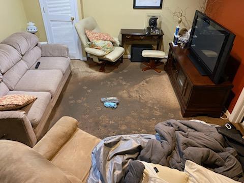 After a sewage backups, professionals need to assess the level of damage in the property. Flooring, carpeting and household items might be irreversibly damaged after a sewage backup. After a sewage backups, professionals need to assess the level of damage in the property. Flooring, carpeting and household items might be irreversibly damaged after a sewage backup.
