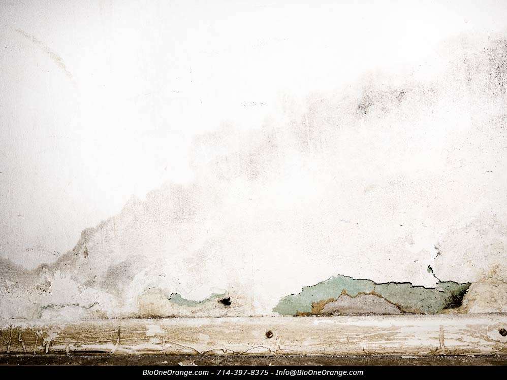 Flooding rainwater causing damage on wall. Photo credit: @user15327819 - Freepik. Flooding rainwater causing damage on wall. Photo credit: @user15327819 - Freepik.