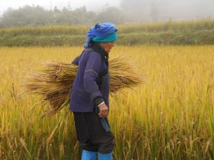 Yunnan Province is the country’s most diverse province in terms of ethnicity, biodiversity and topography.