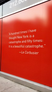 A quote that caught the author's attention.
