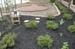 Local club provides strength, hope with healing garden at Southwest Virginia Cancer Center