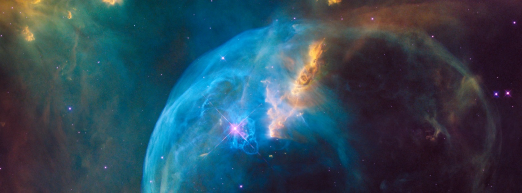 An image highlighting one of our fascinating blog posts