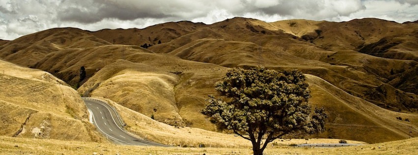 An image highlighting one of our fascinating blog posts