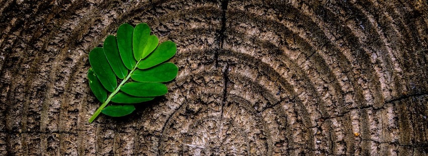 An image highlighting one of our fascinating blog posts
