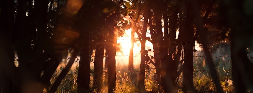 An image highlighting one of our fascinating blog posts