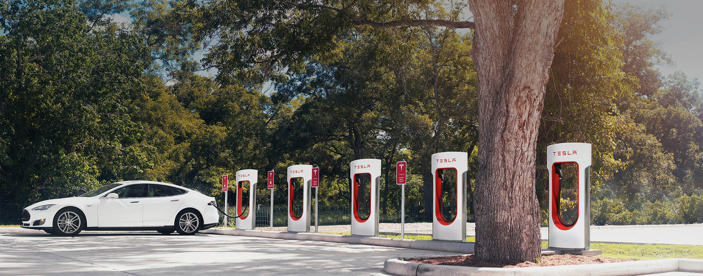 El 78 de la red de cargadores eléctricos en México es de Tesla