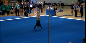 CHSAA Class 4A & 5A Gymnastics State Finals image