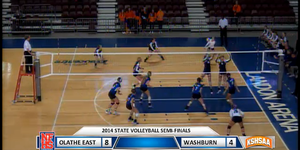Volleyball image