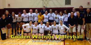 Volleyball image