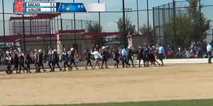 Softball image