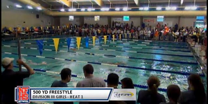 2014 LHSAA Division III Swimming Championship image