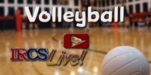 Volleyball image