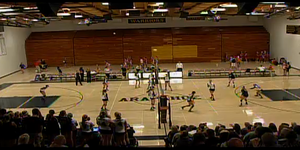 Volleyball image