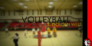 Volleyball image