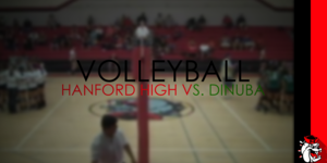 Volleyball image