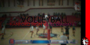 Volleyball image