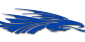Basketball image
