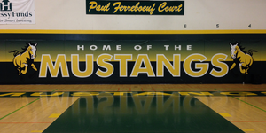 Basketball image