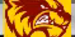 Basketball image