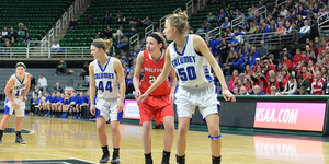 MHSAA  Class C Girls Basketball-Semifinals image