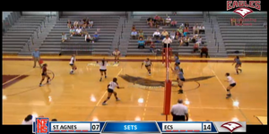 Volleyball image